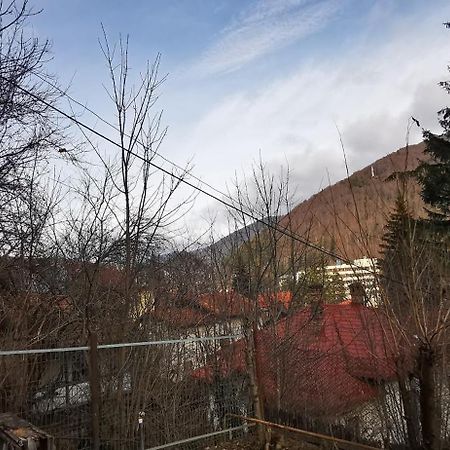 Casa Serban Villa Sinaia Bagian luar foto