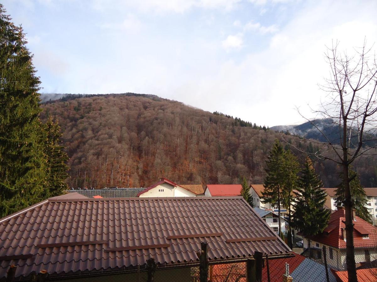 Casa Serban Villa Sinaia Bagian luar foto
