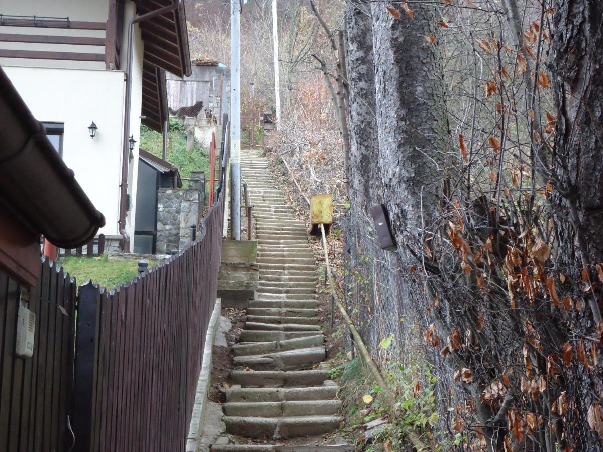 Casa Serban Villa Sinaia Bagian luar foto