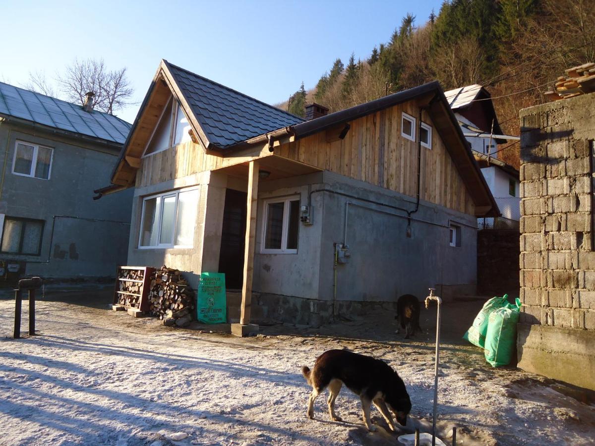 Casa Serban Villa Sinaia Bagian luar foto