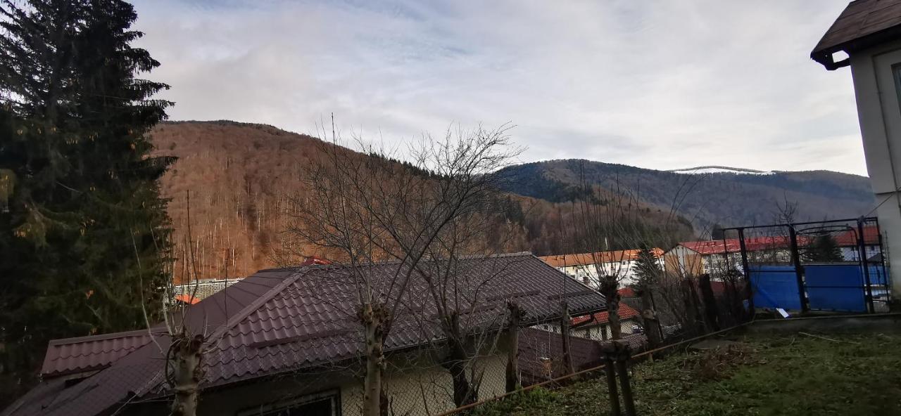 Casa Serban Villa Sinaia Bagian luar foto