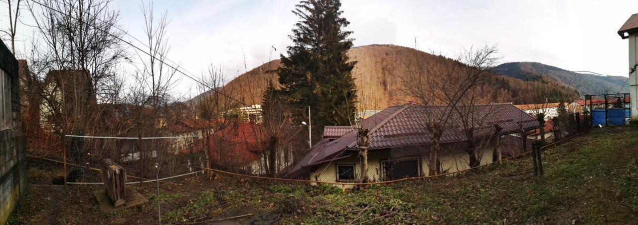 Casa Serban Villa Sinaia Bagian luar foto