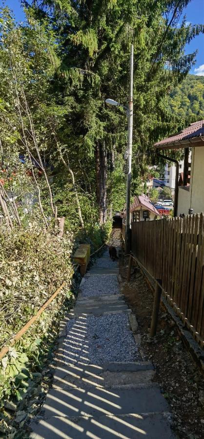 Casa Serban Villa Sinaia Bagian luar foto