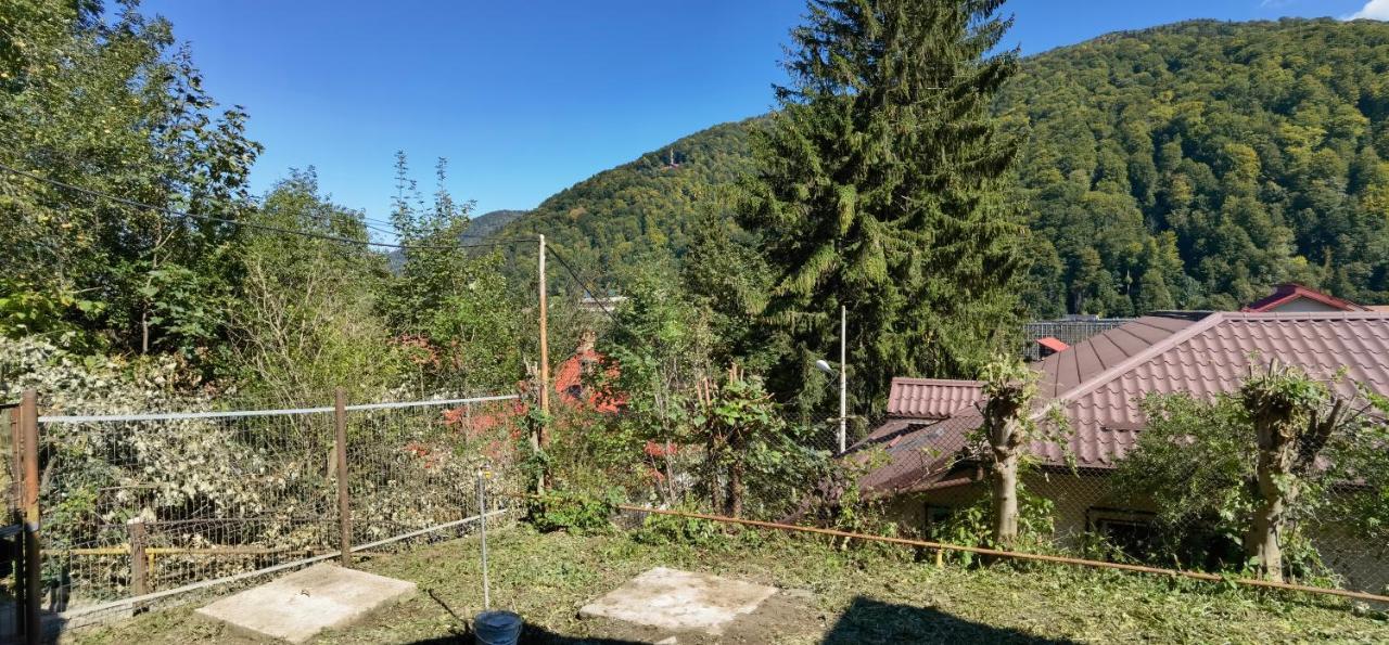 Casa Serban Villa Sinaia Bagian luar foto