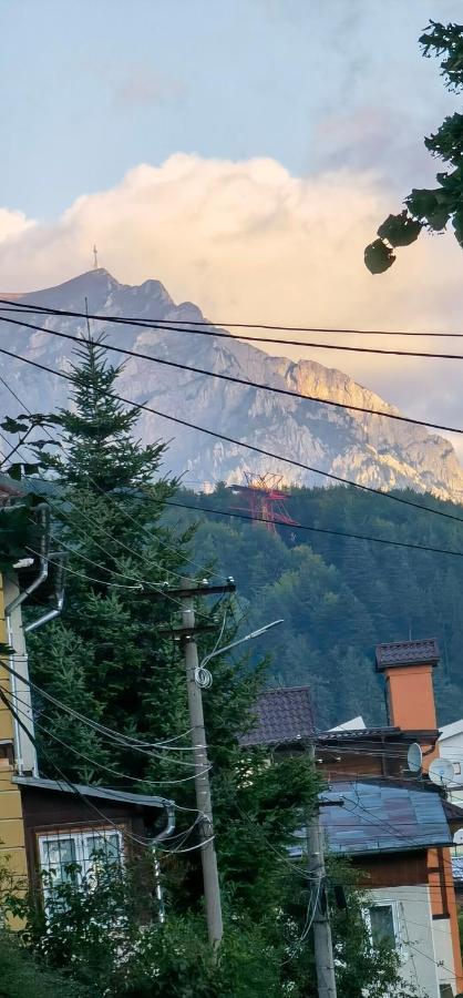 Casa Serban Villa Sinaia Bagian luar foto