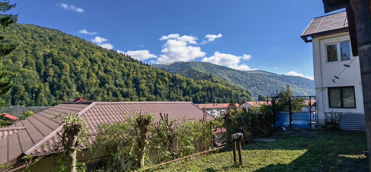 Casa Serban Villa Sinaia Bagian luar foto