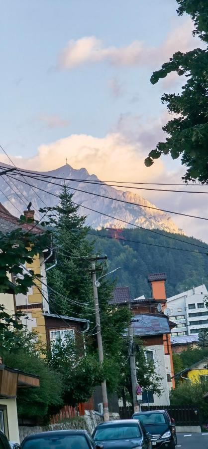 Casa Serban Villa Sinaia Bagian luar foto