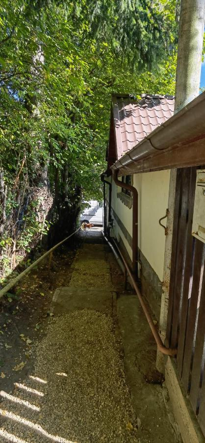Casa Serban Villa Sinaia Bagian luar foto