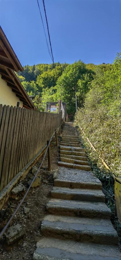 Casa Serban Villa Sinaia Bagian luar foto