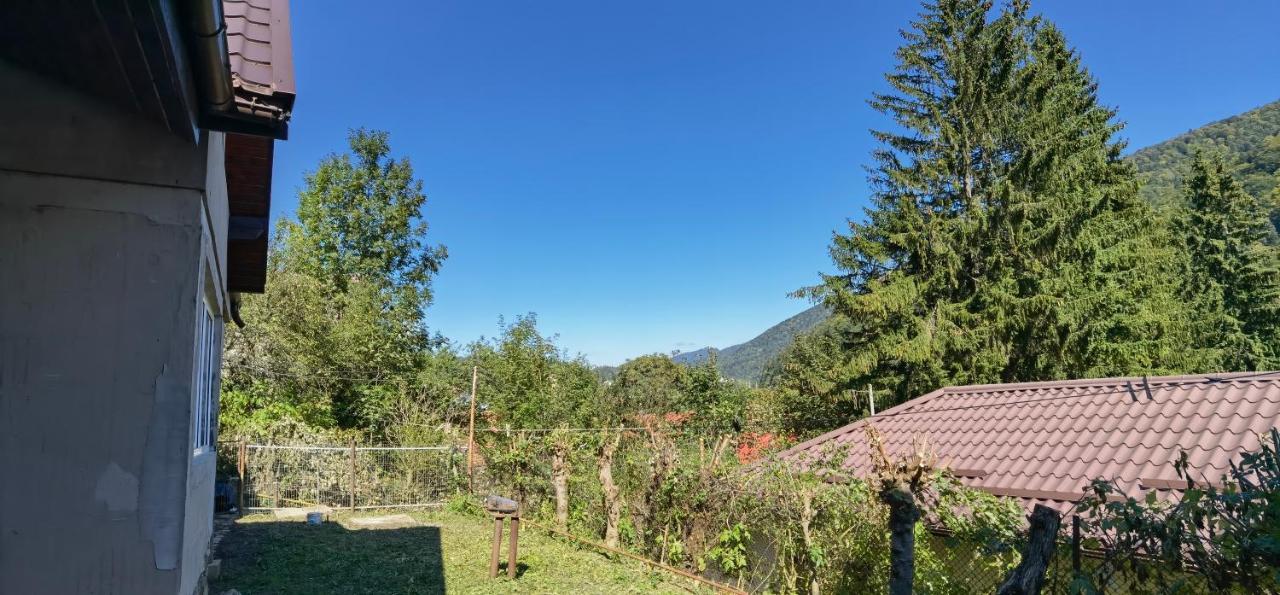 Casa Serban Villa Sinaia Bagian luar foto