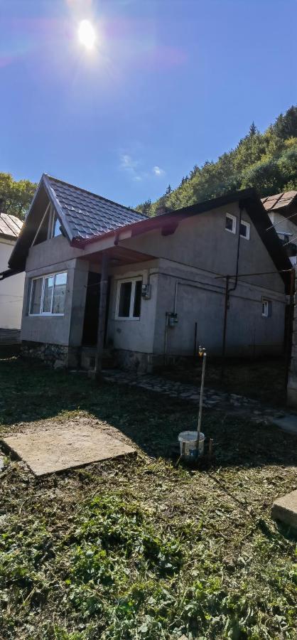 Casa Serban Villa Sinaia Bagian luar foto